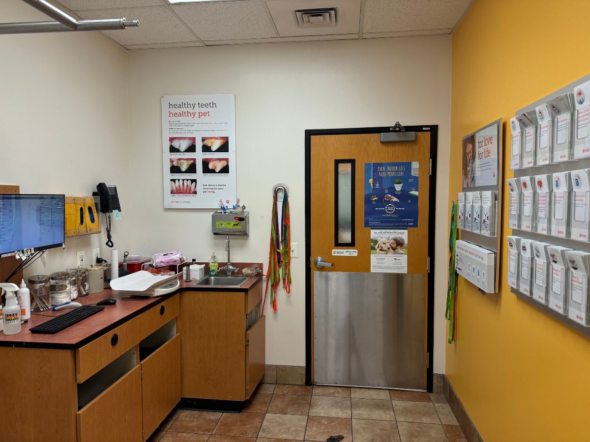 An alternate view of the Banfield - Bethesda exam room