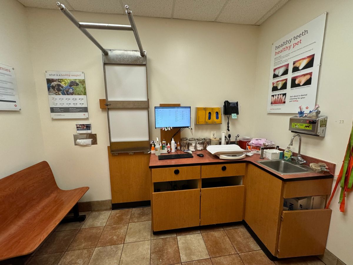 Another alternate view of the Banfield - Bethesda exam room