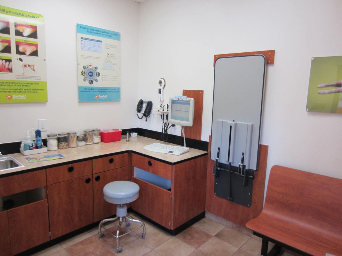 The Banfield - Bowie exam room and folding table view