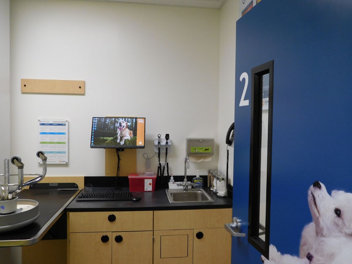 A view of the Banfield - Rockville Travilah Square hospital exam room
