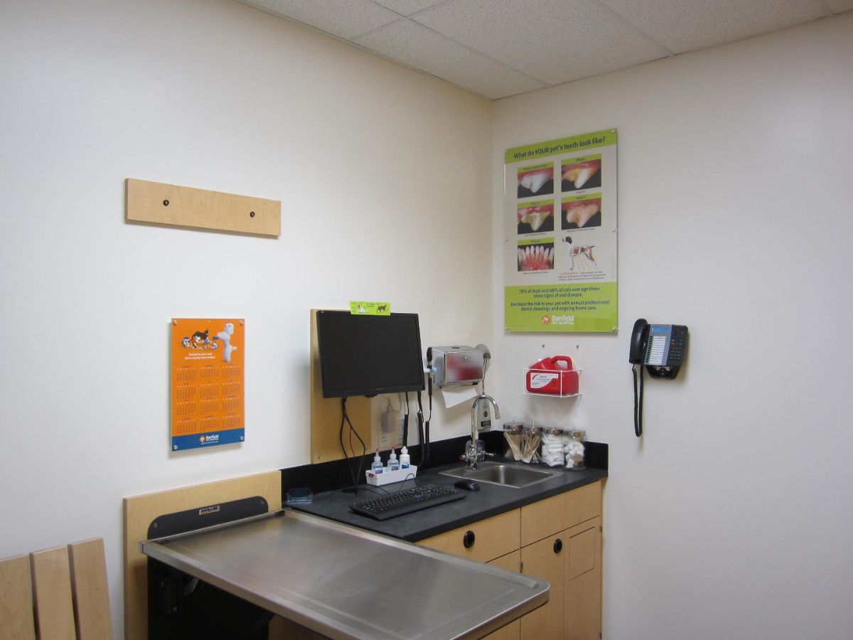 Another view of the Banfield - Maryland City Plaza exam room
