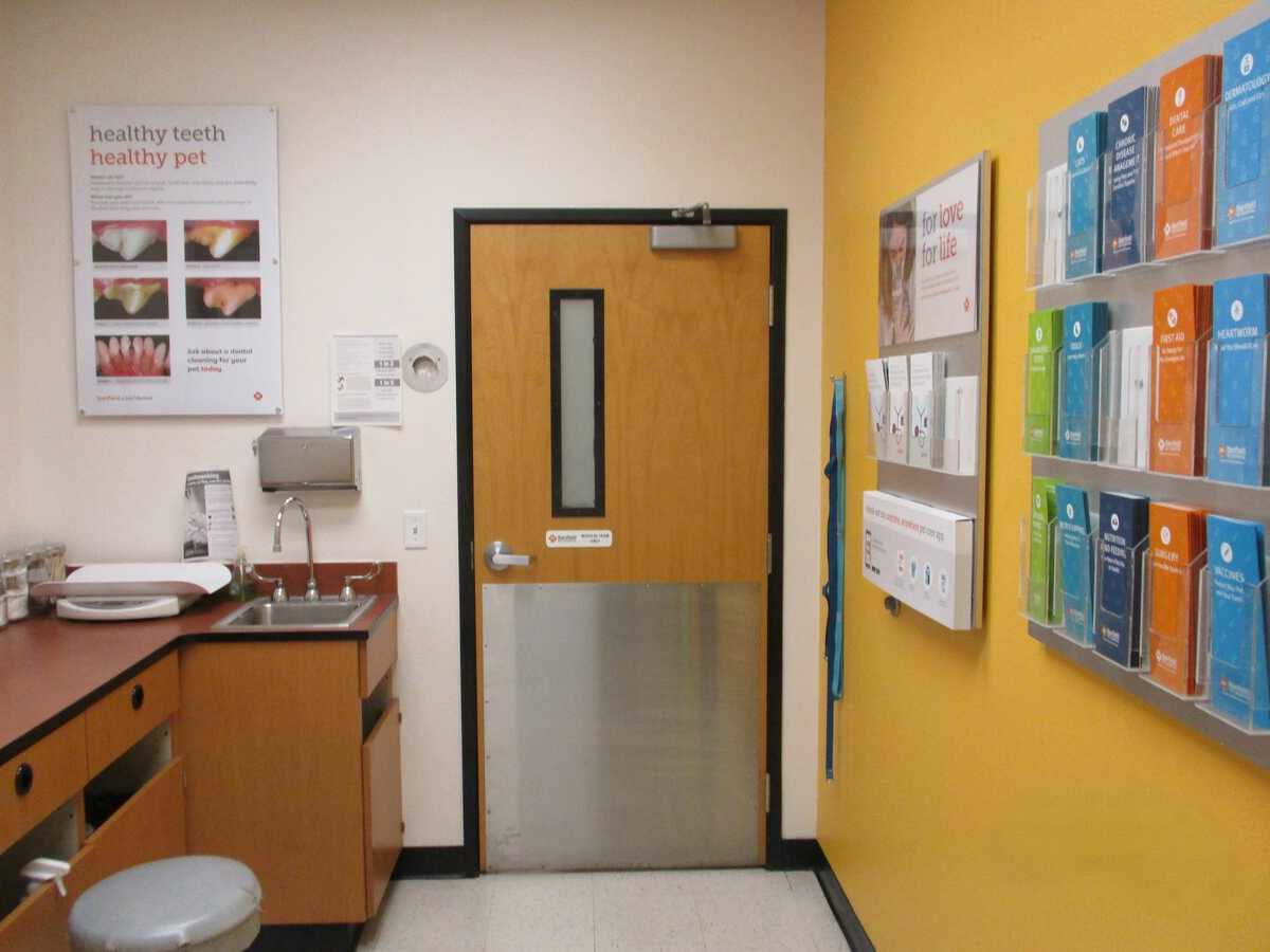 Another view inside the Banfield - American Fork hospital exam room