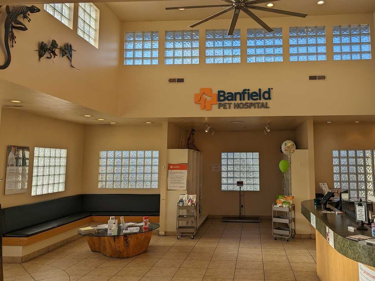The Banfield - Creekside hospital front lobby and foyer