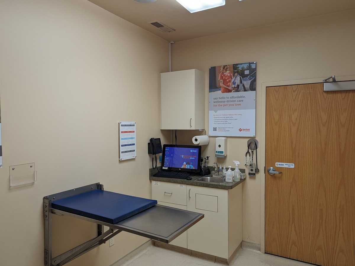 A view inside the Banfield - Creekside hospital exam room
