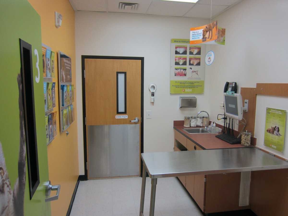 Another view inside of a Banfield - Las Vegas Durango hospital exam room