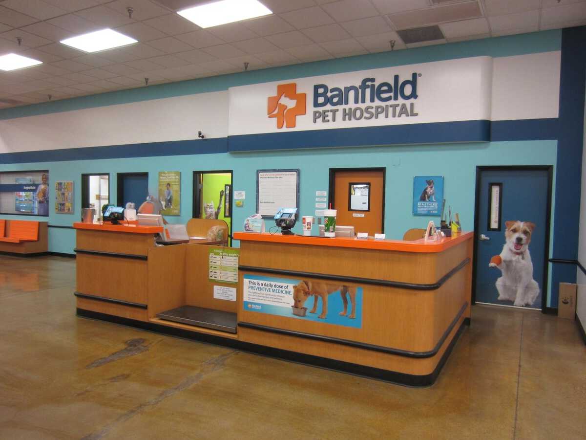 The Nellis Banfield hospital front desk and check-in area