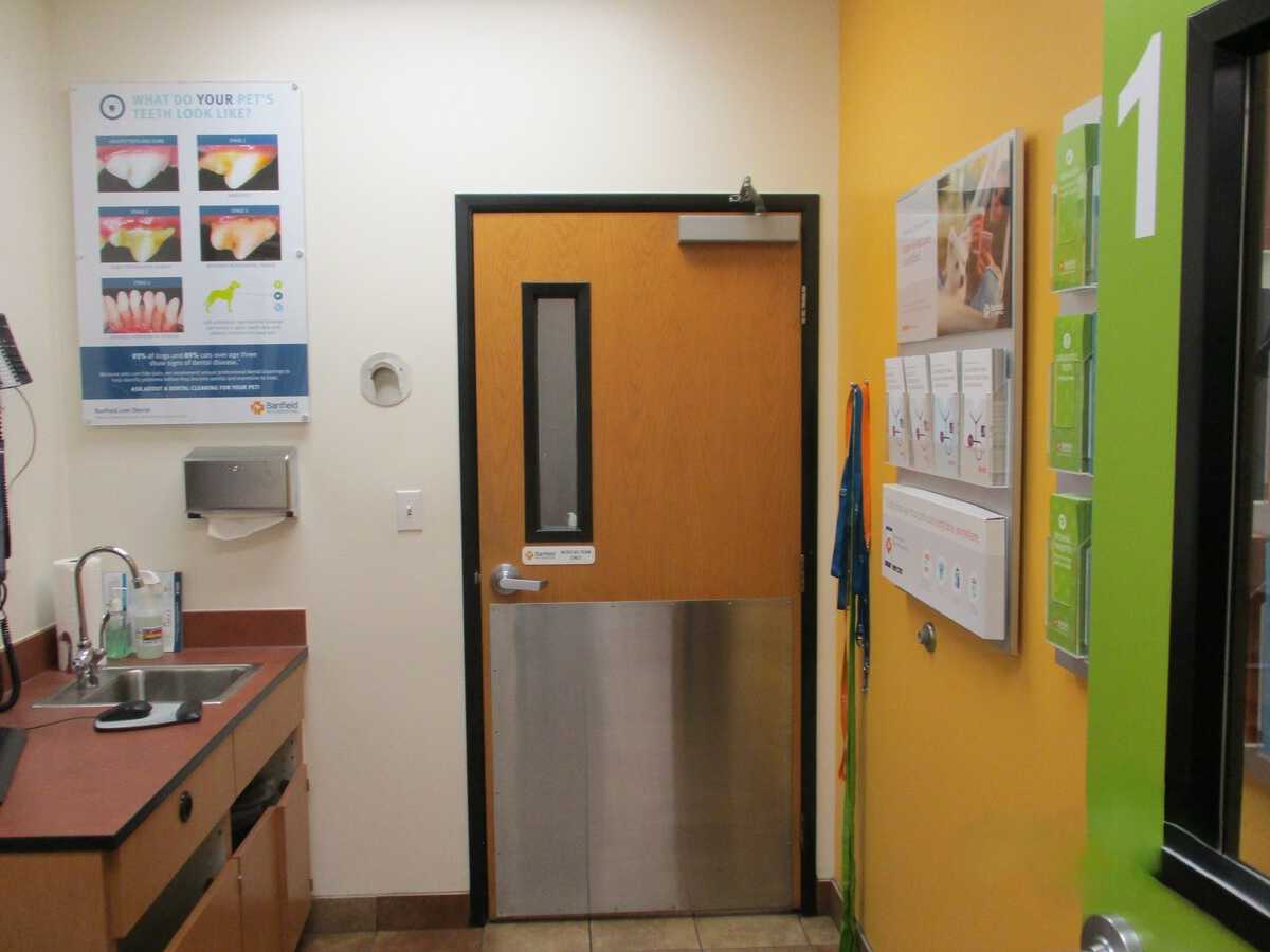 Another view inside the Las Vegas Nellis Banfield exam room