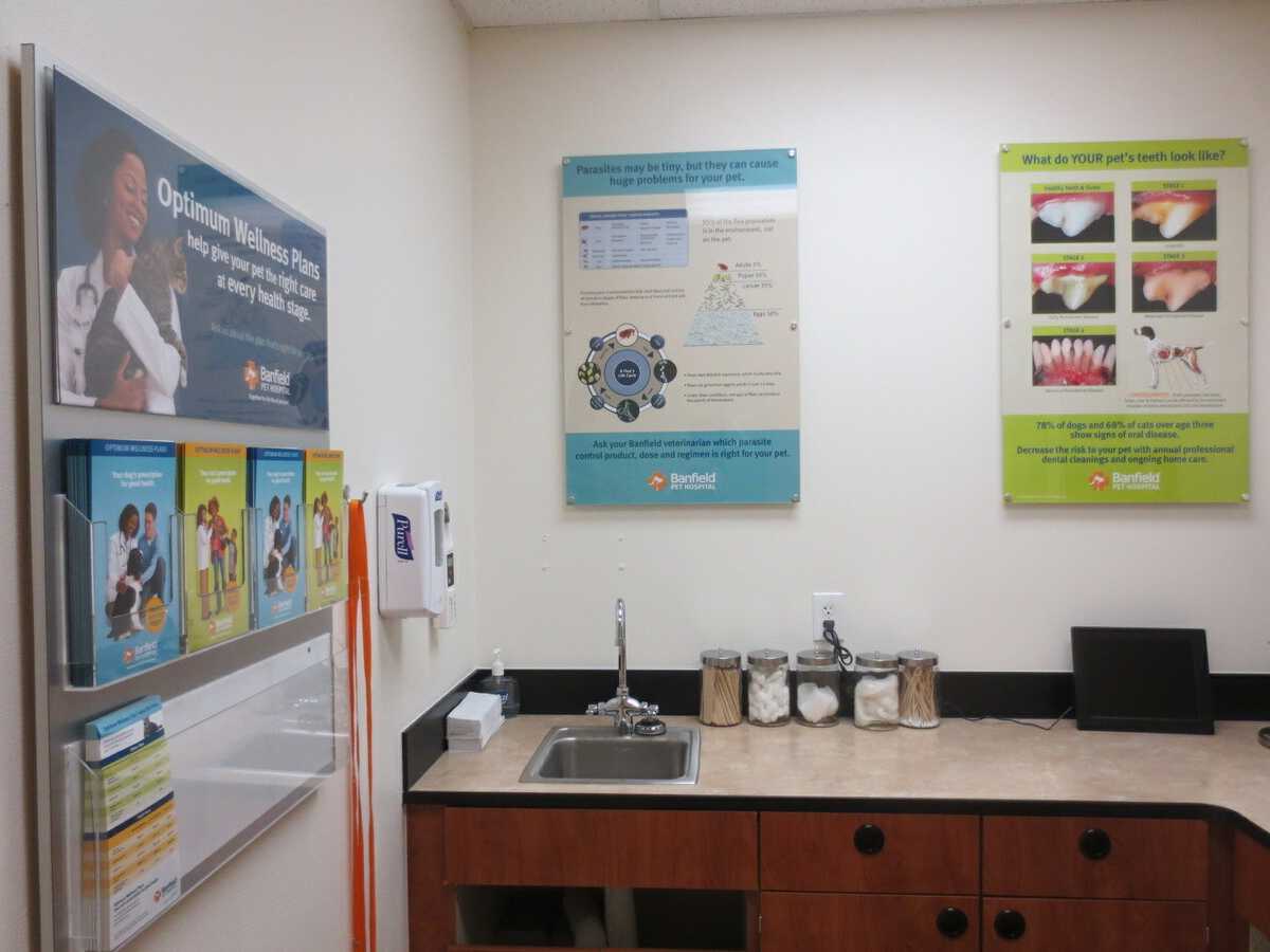 The Las Vegas Rainbow Banfield hospital exam room view