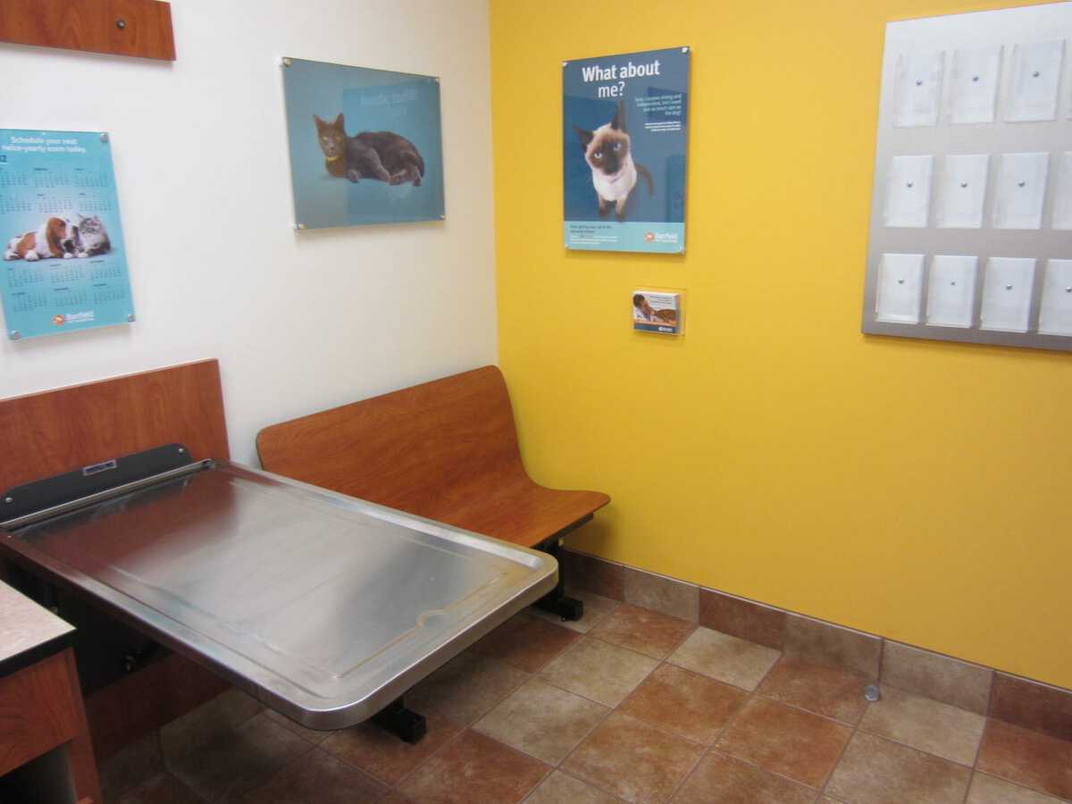 A view inside the Banfield - Salt Lake City N exam room
