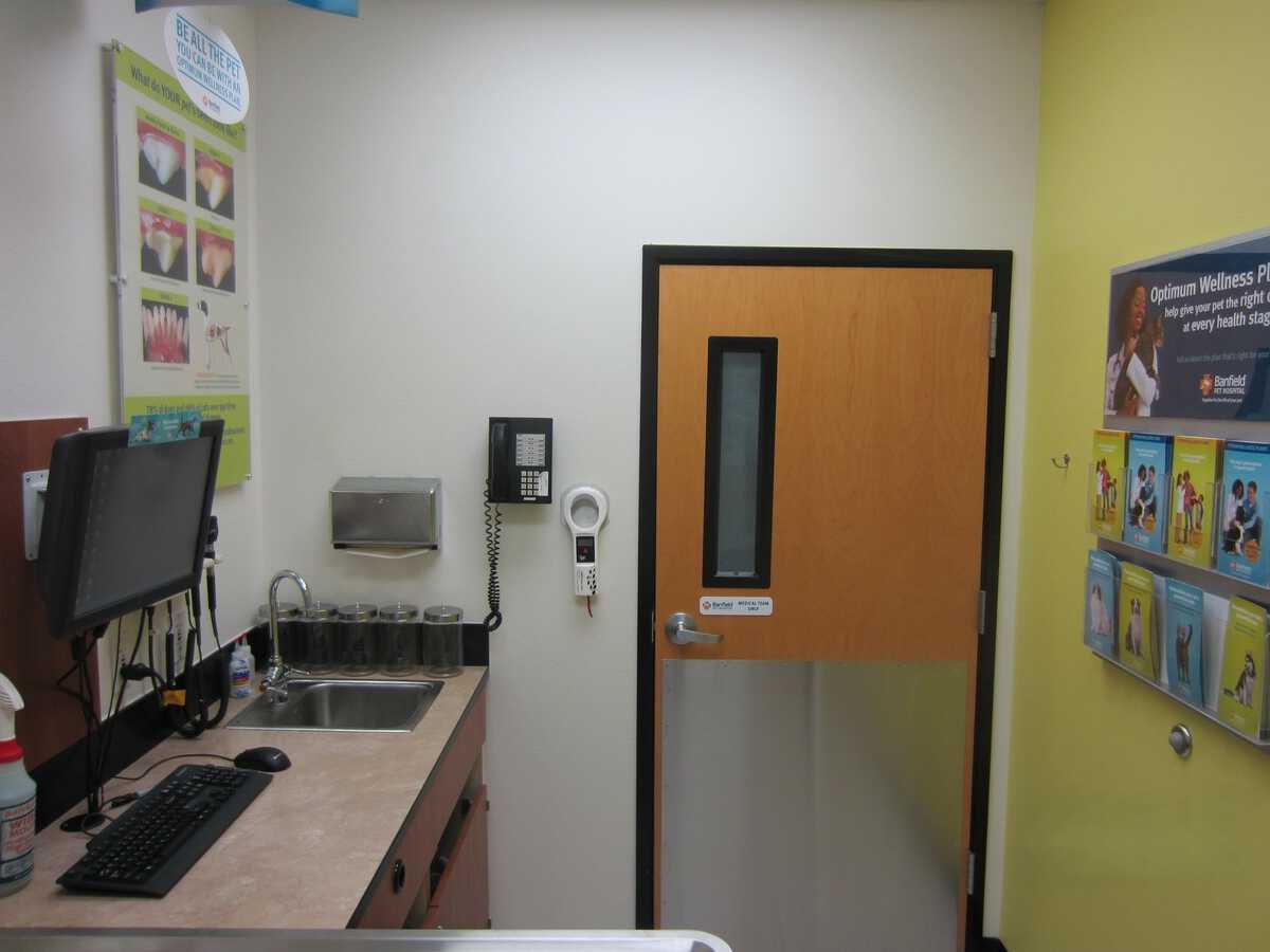 A view inside the Banfield - Las Vegas Summerlin exam room and folding table