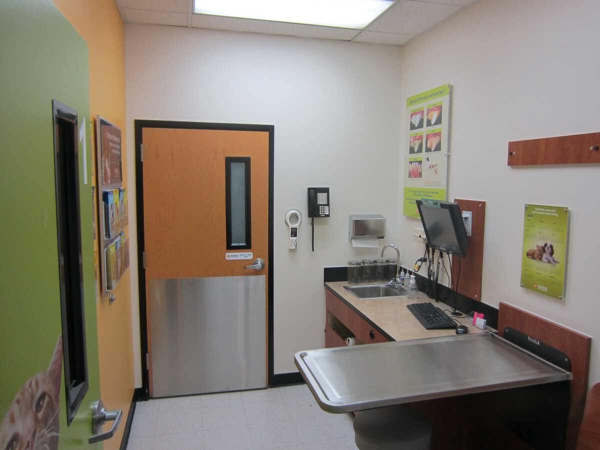 An alternate view of the exam room at the Banfield - Las Vegas Summerlin hospital