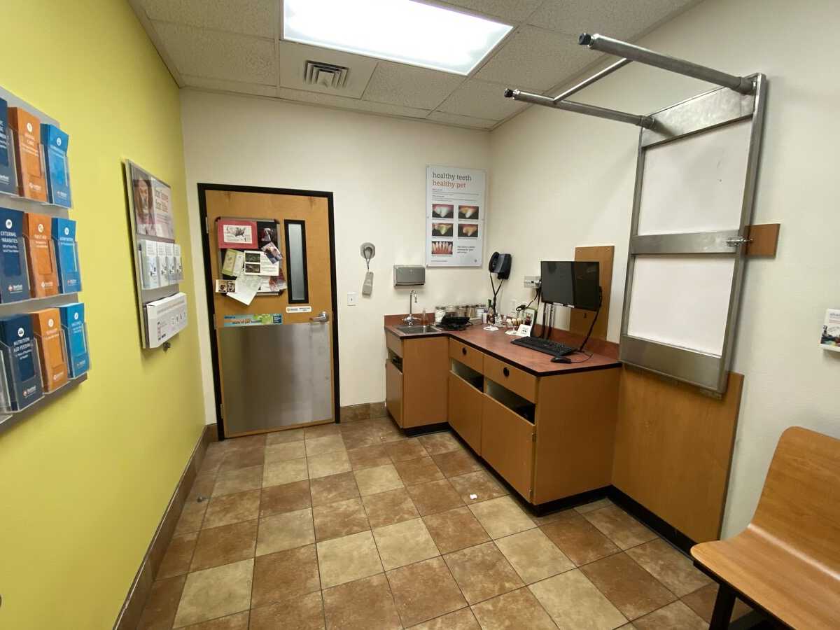 A view of the Banfield - Summer Valley hospital exam room