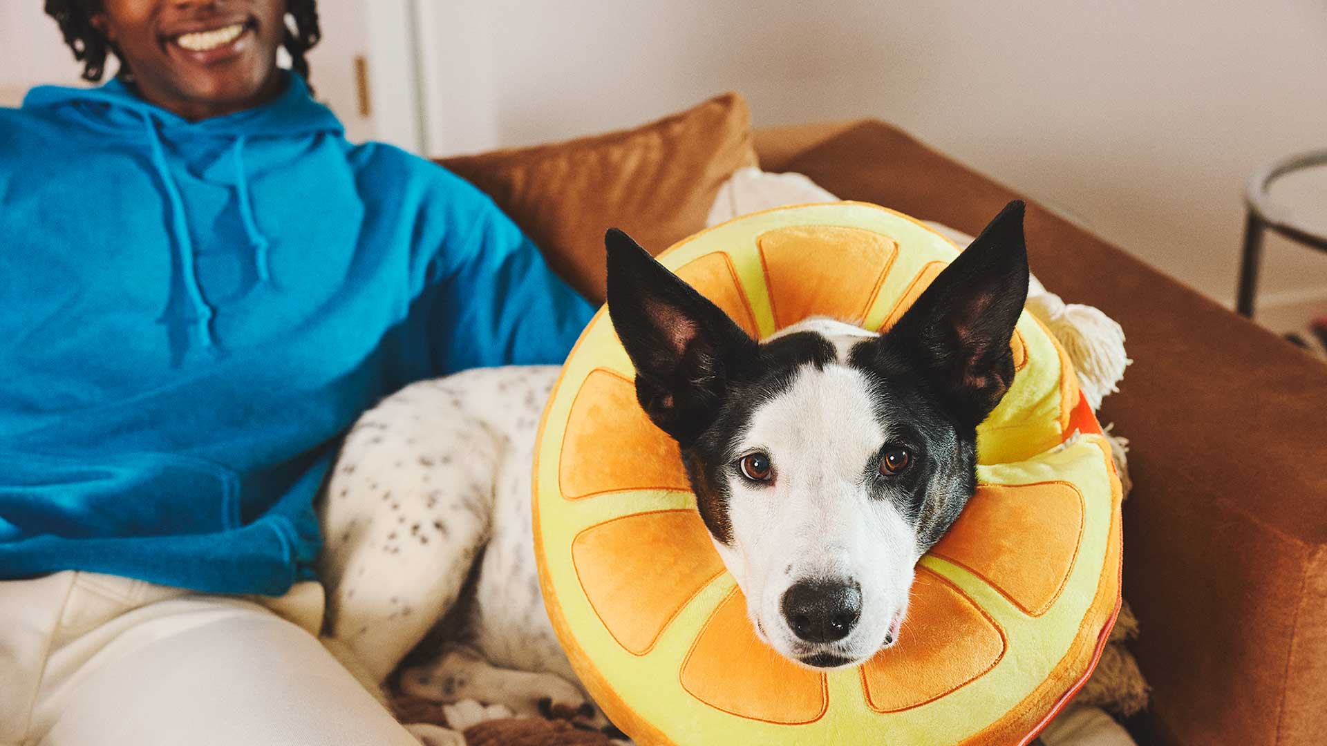 A person sitting on a couch next to their dog 