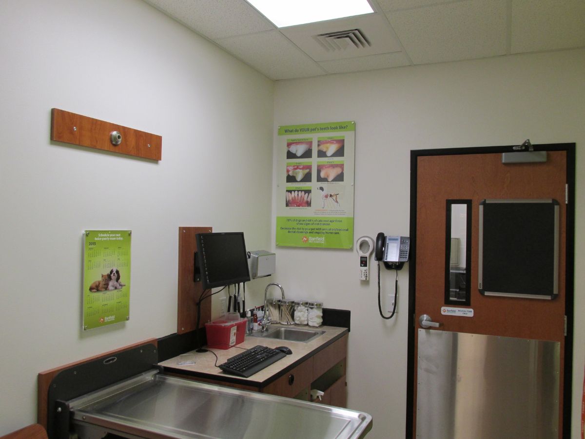 The hospital room and exam table at the Northborough Banfield hospital