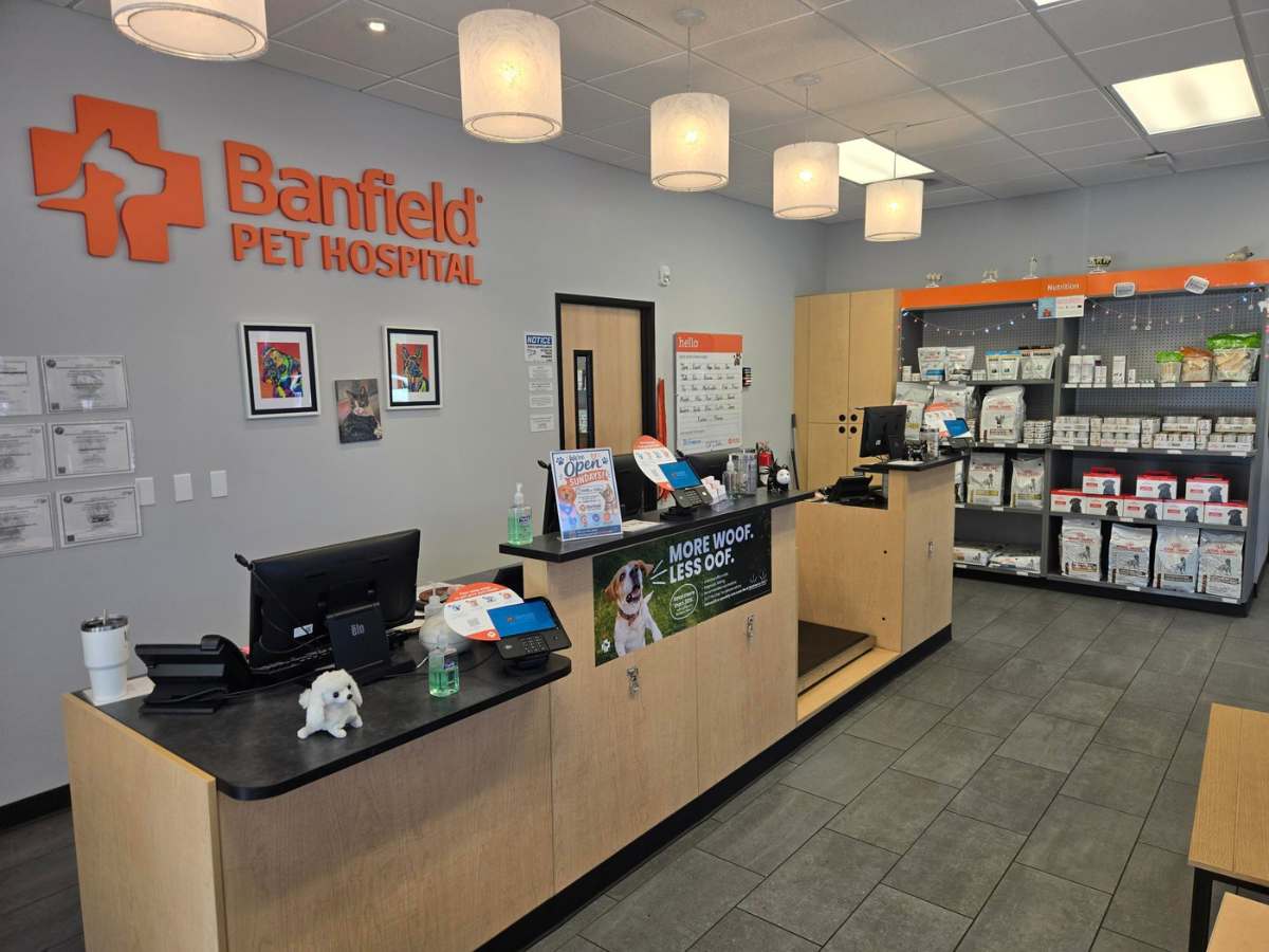 The Banfield Fort Lauderdale Sunrise Square front desk