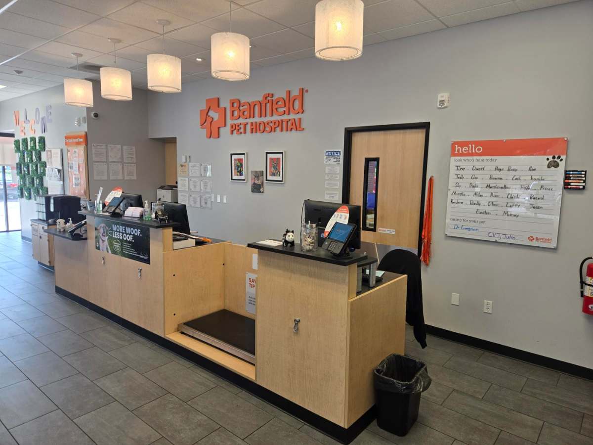 The Banfield Fort Lauderdale Sunrise Square exam room