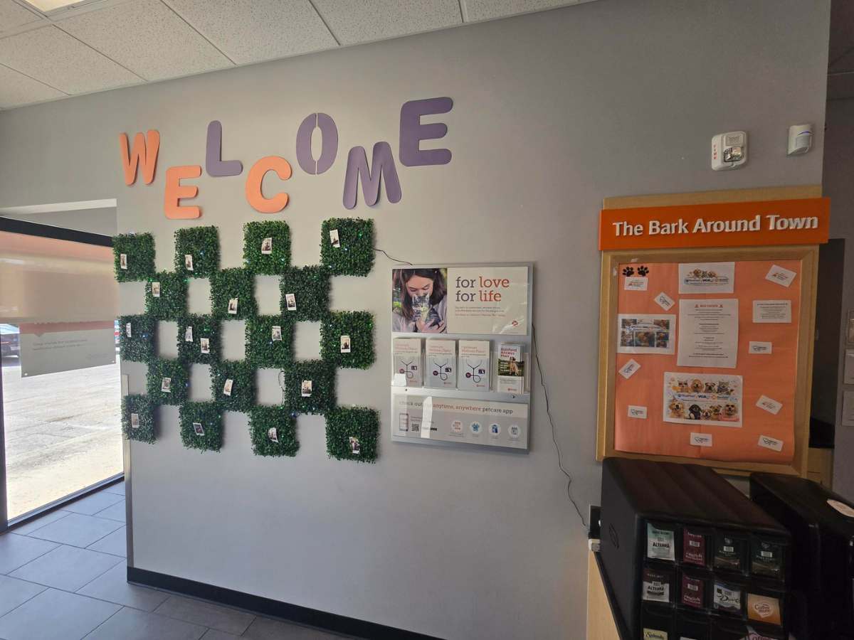 The Banfield Fort Lauderdale Sunrise Square lobby