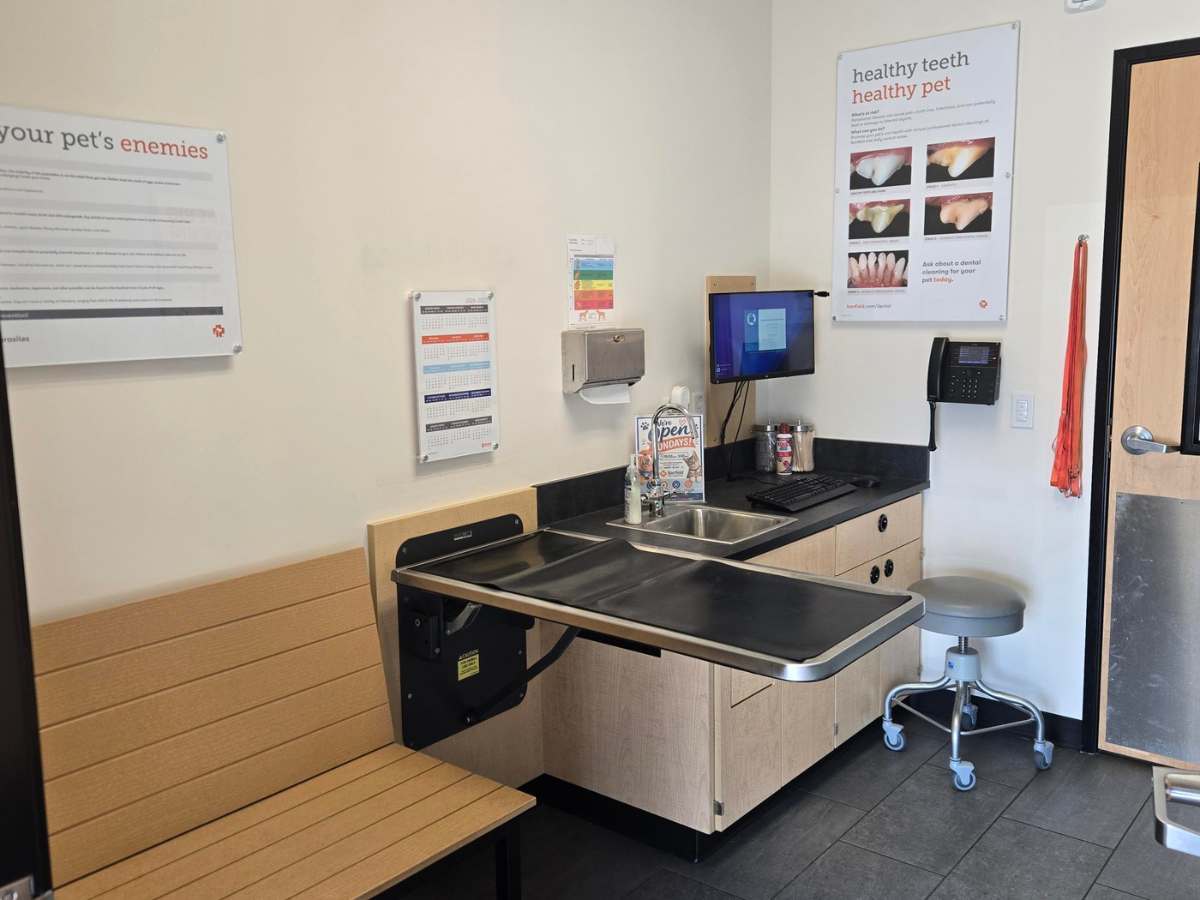 The Banfield Fort Lauderdale Sunrise Square lobby