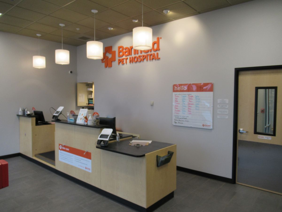 The Banfield - North Attleboro front desk and check-in area