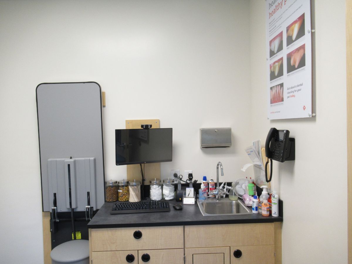 Another view inside a North Attleboro Banfield hospital exam room