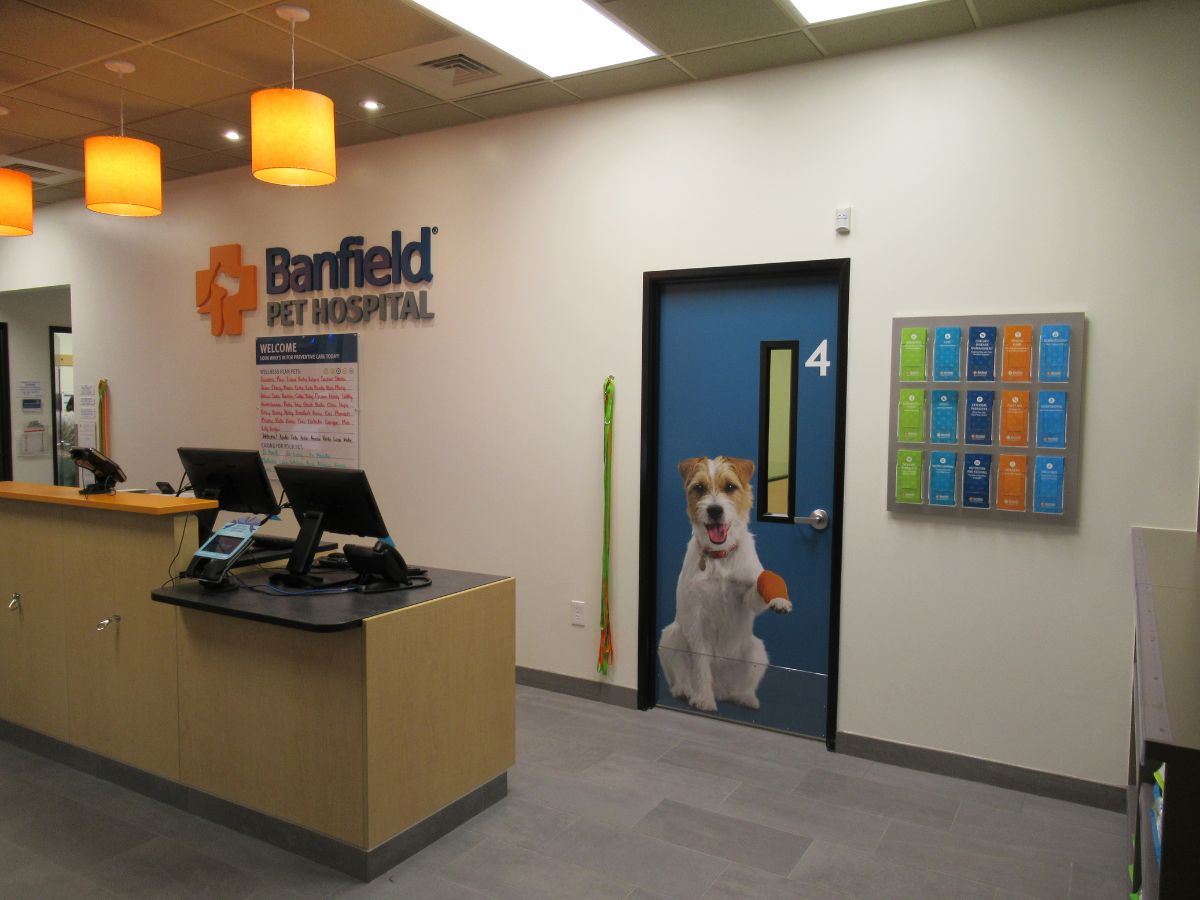 The North Haven Banfield hospital front desk and check-in area