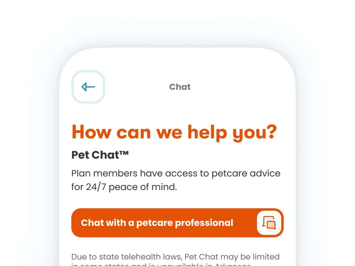 Screenshot of Pet Chat on the Banfield app