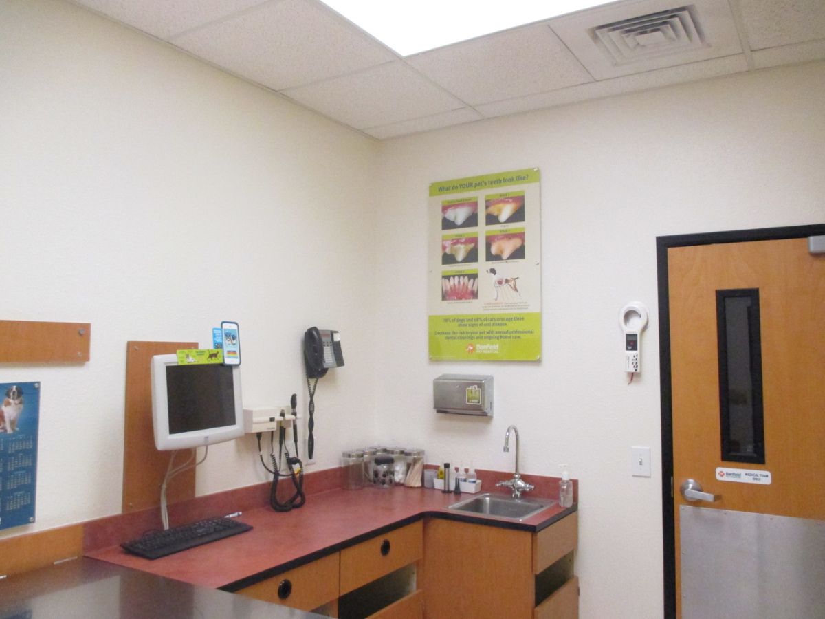 A view inside a Banfield - Bridgewater Falls hospital exam room