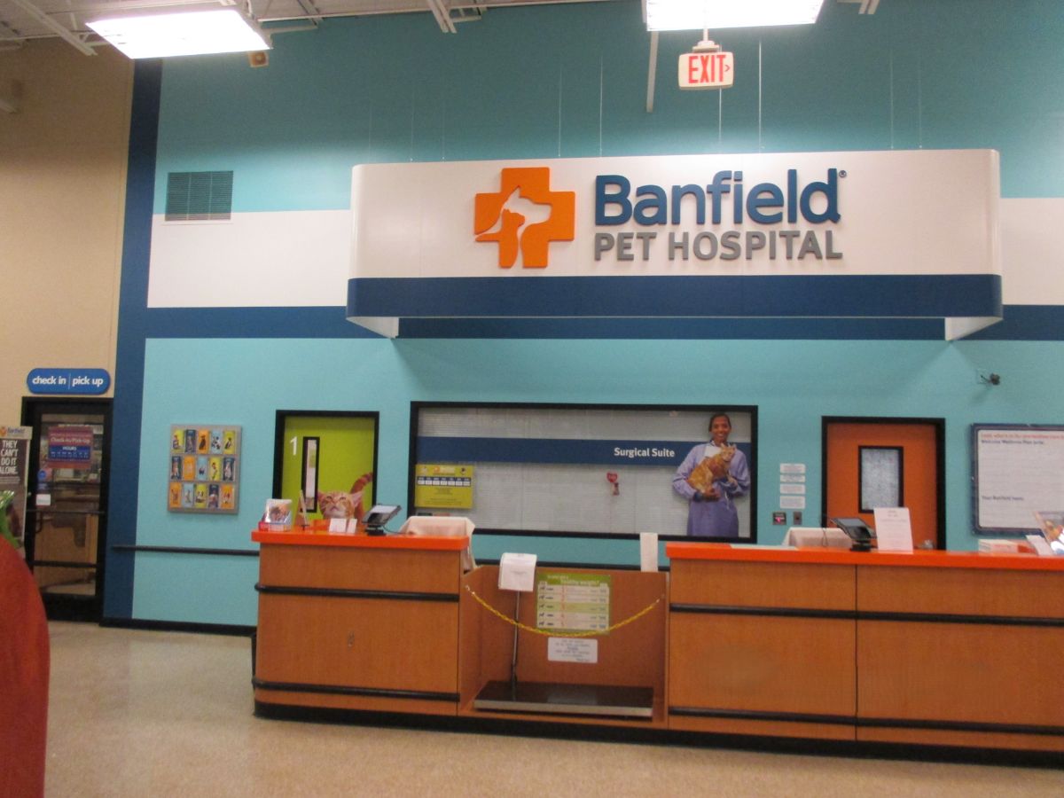 The Banfield - Mason front desk and check-in area
