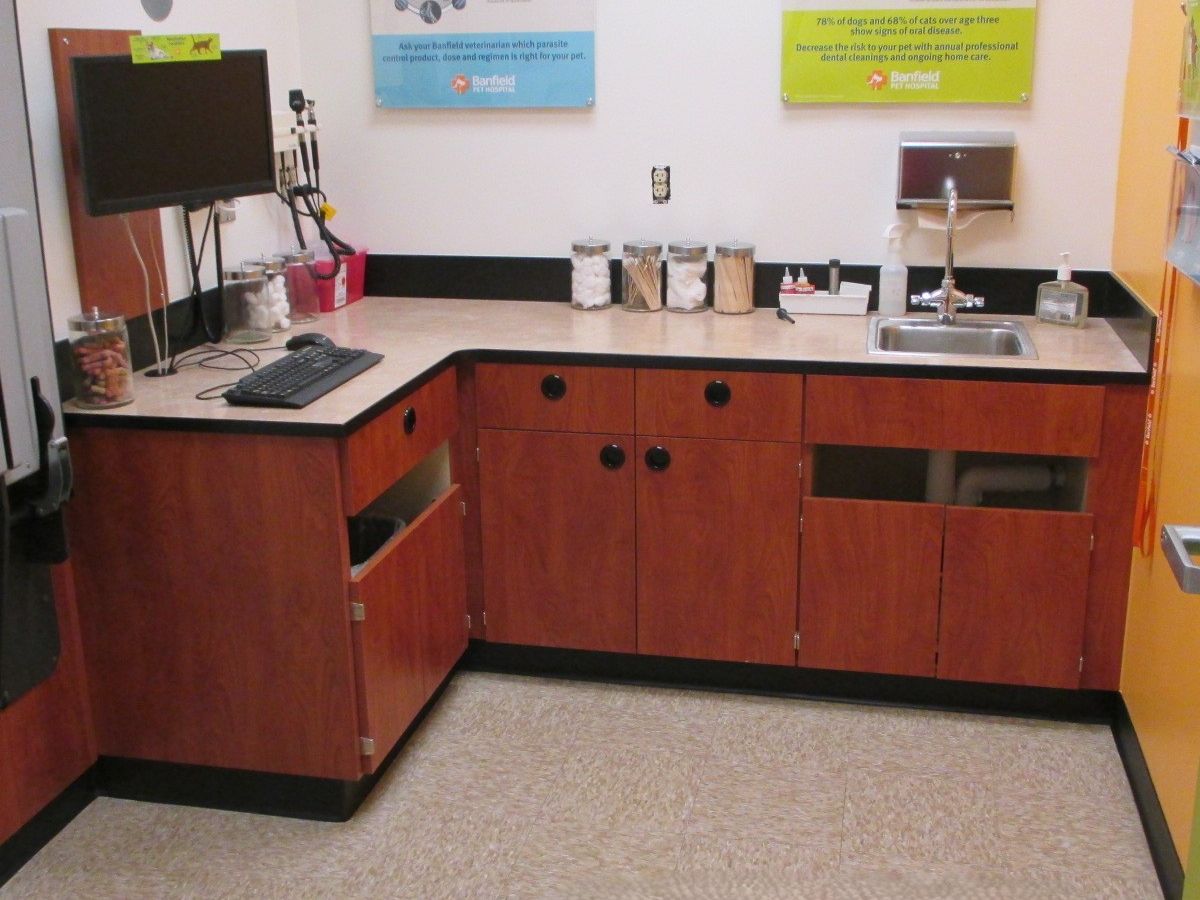 A view of a Banfield - Colerain hospital exam room