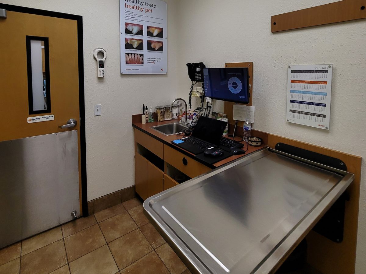 A view of a Banfield - Bend hospital exam room and folding table