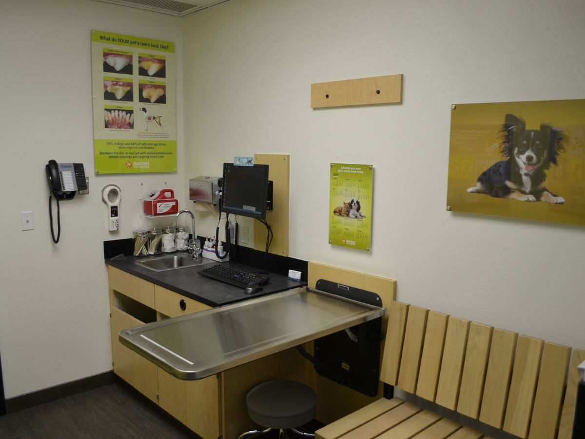 The Banfield Pet Hospital: Lake Oswego exam room with table