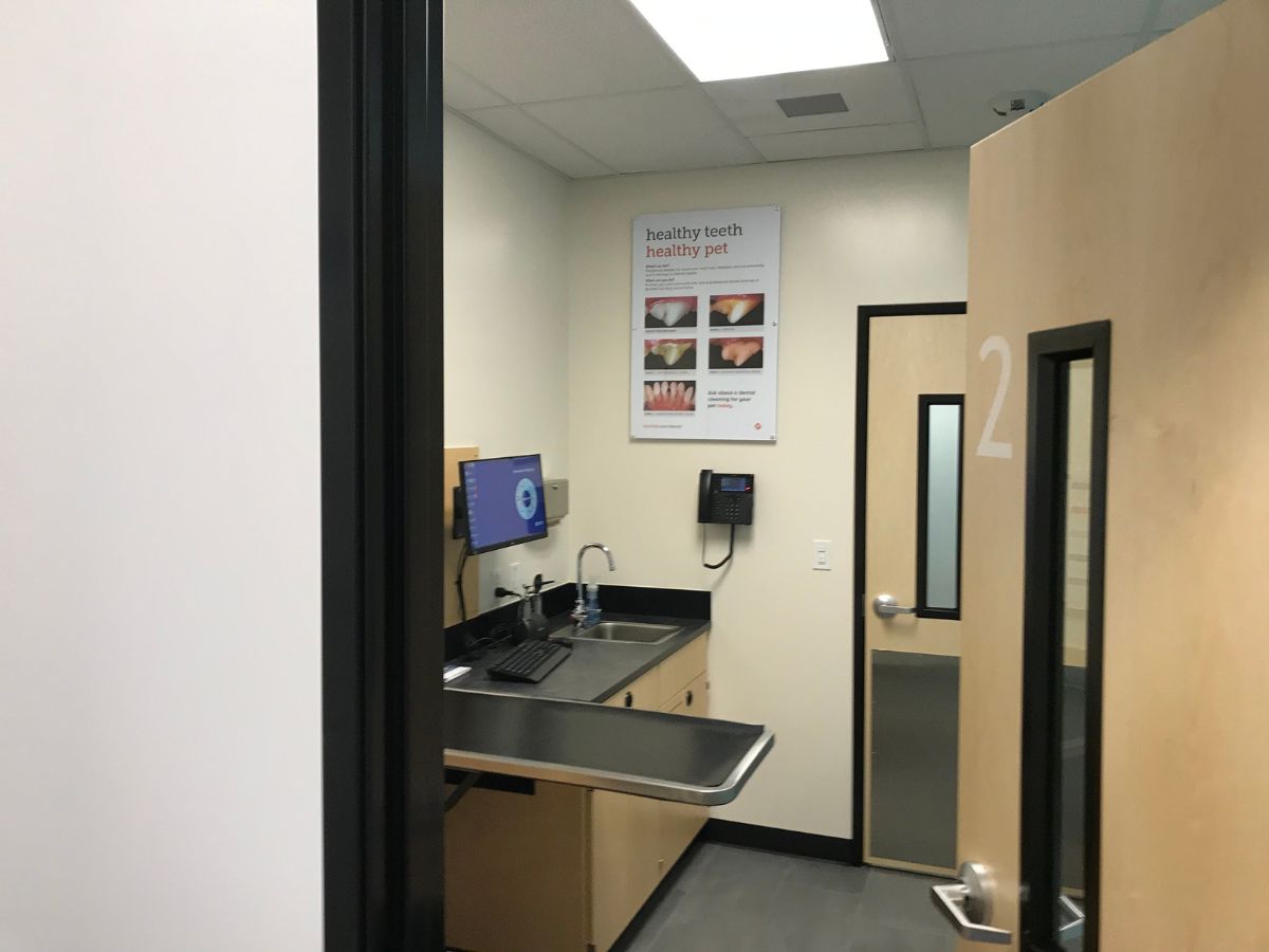 An alternate view of a Banfield - Washington Square exam room