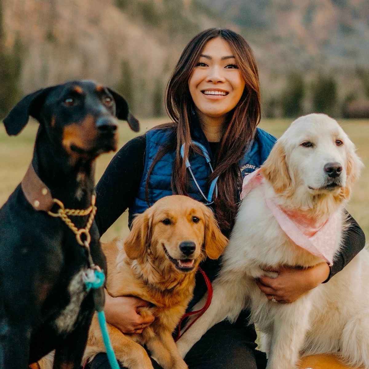 Profile picture of Alice Pflueger, DVM, Veterinarian
