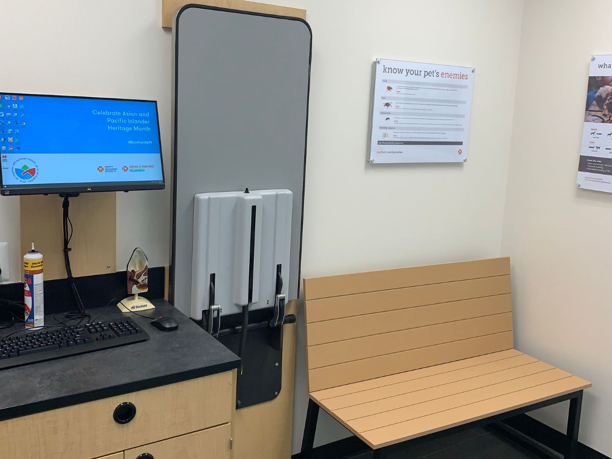 A view of the Banfield - Springfield hospital exam room and folding table