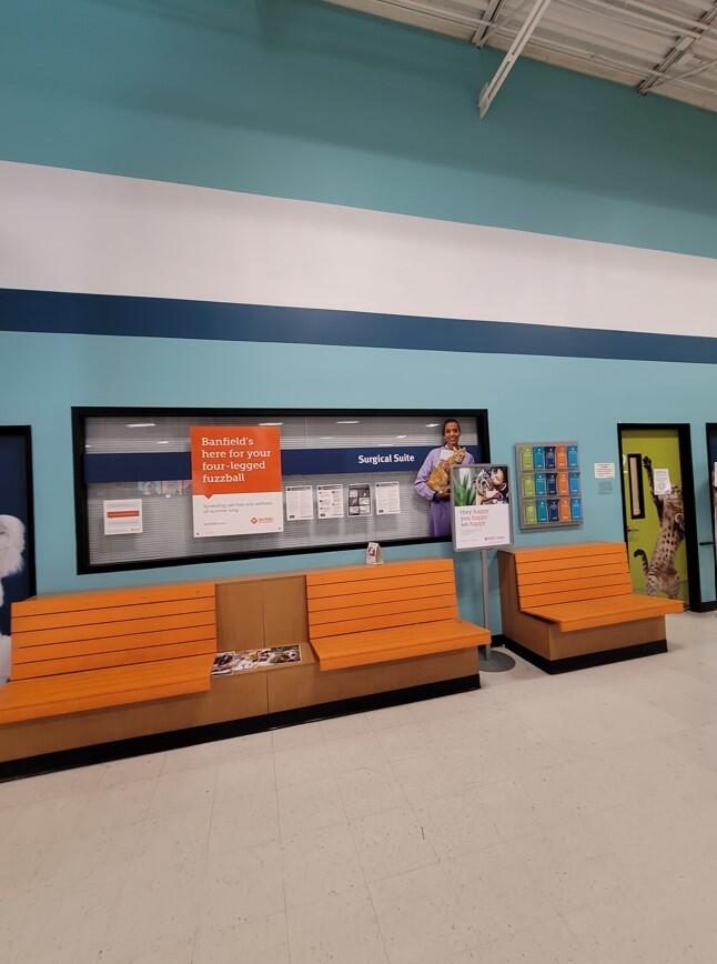 Banfield Pet Hospital: Gilbert E lobby