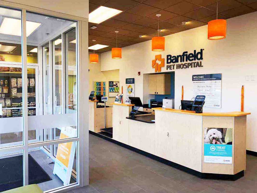 The front desk at the Banfield Pet Hospital