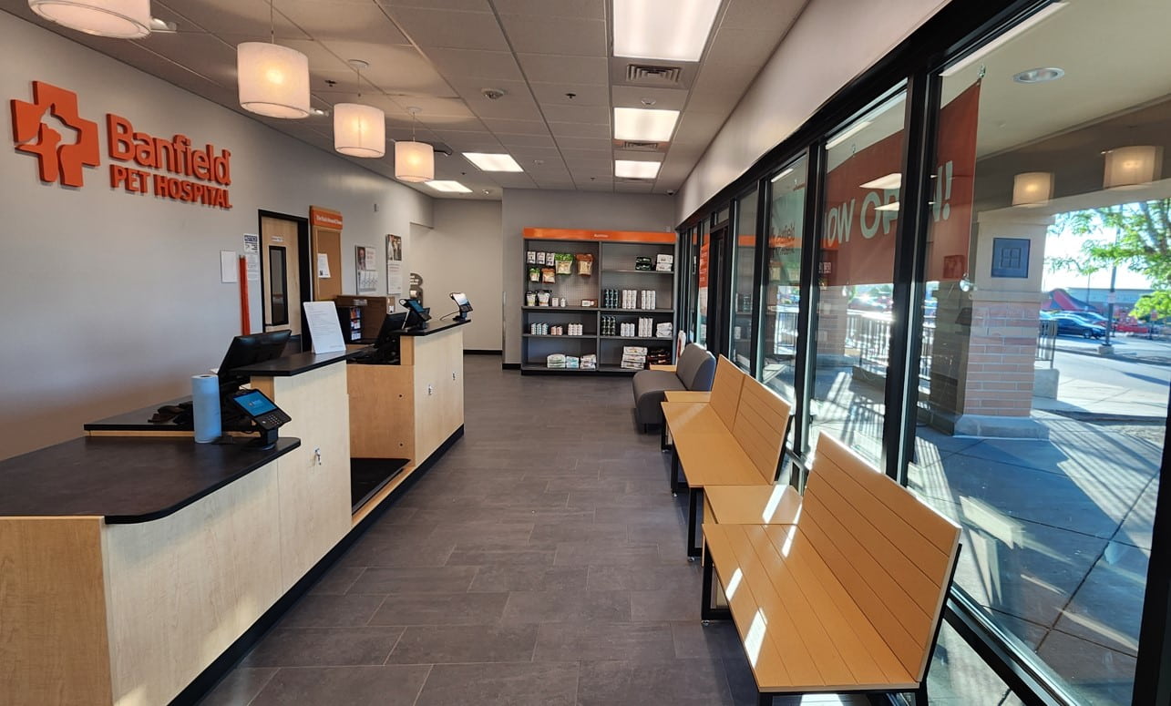 Front desks and front lobby