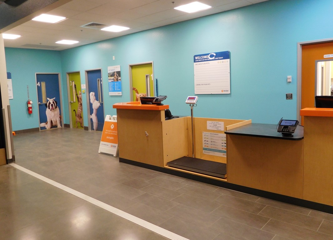 Front desk and exam room entrance