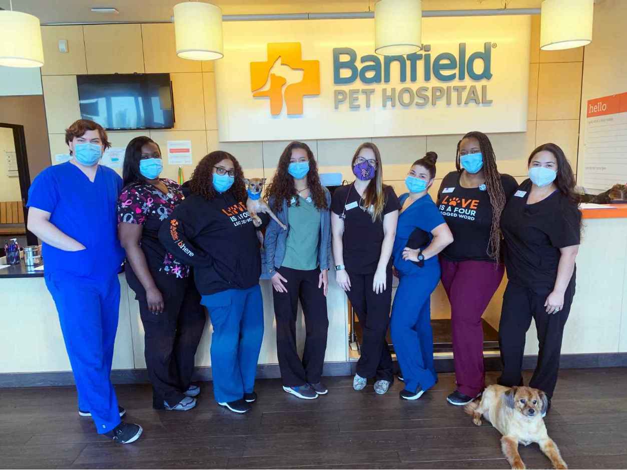 A group of Banfield Associates at the Banfield Pet Hospital