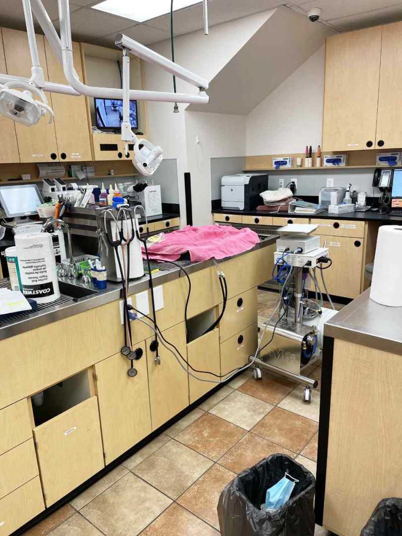 The pet examination room at the Banfield Pet Hospital