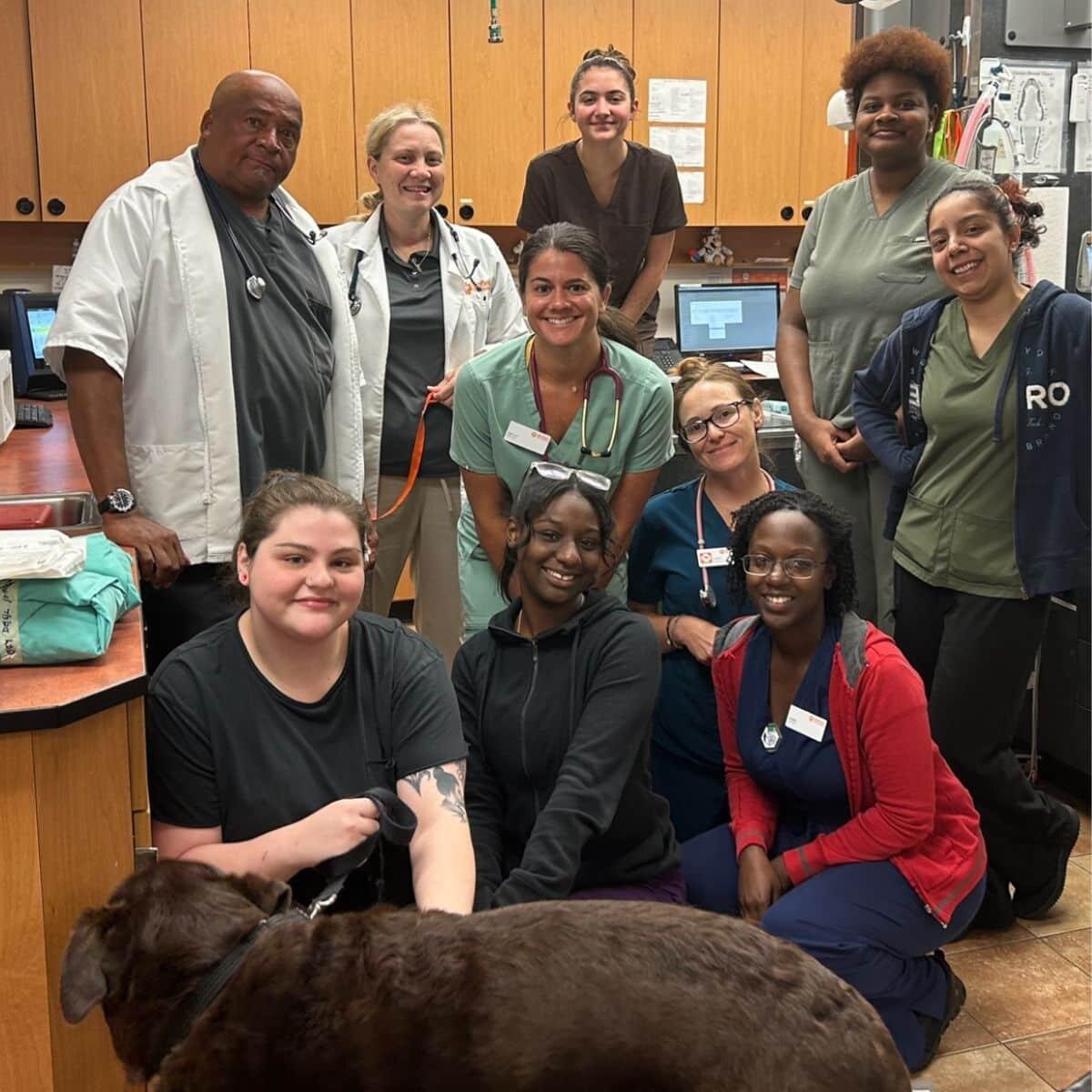 Team photo of Banfield Pet Hospital: North Lake Mall