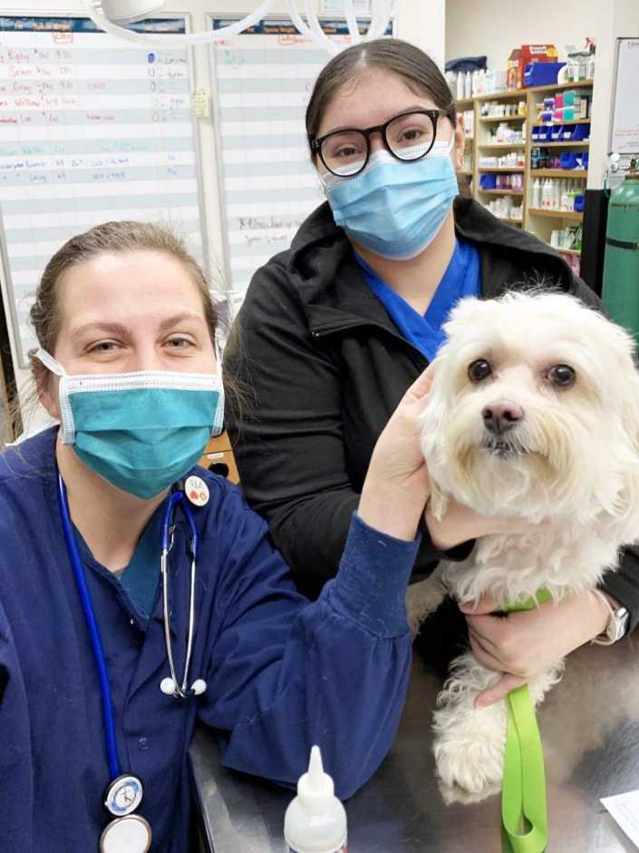 A couple of young female associates holding a dog at the Banfield Pet Hospital
