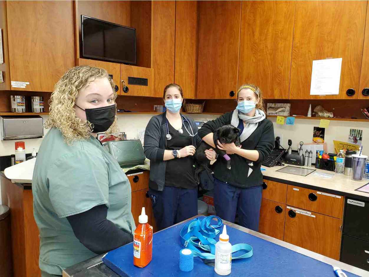 A group of associates holding a black dog in the pet examination room at the Banfield Pet Hospital