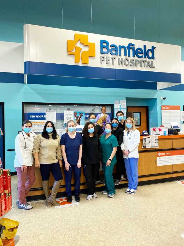A group of associates at the Banfield Pet Hospital